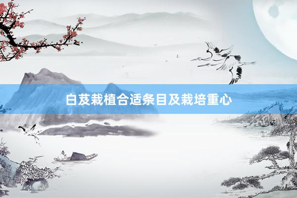 白芨栽植合适条目及栽培重心